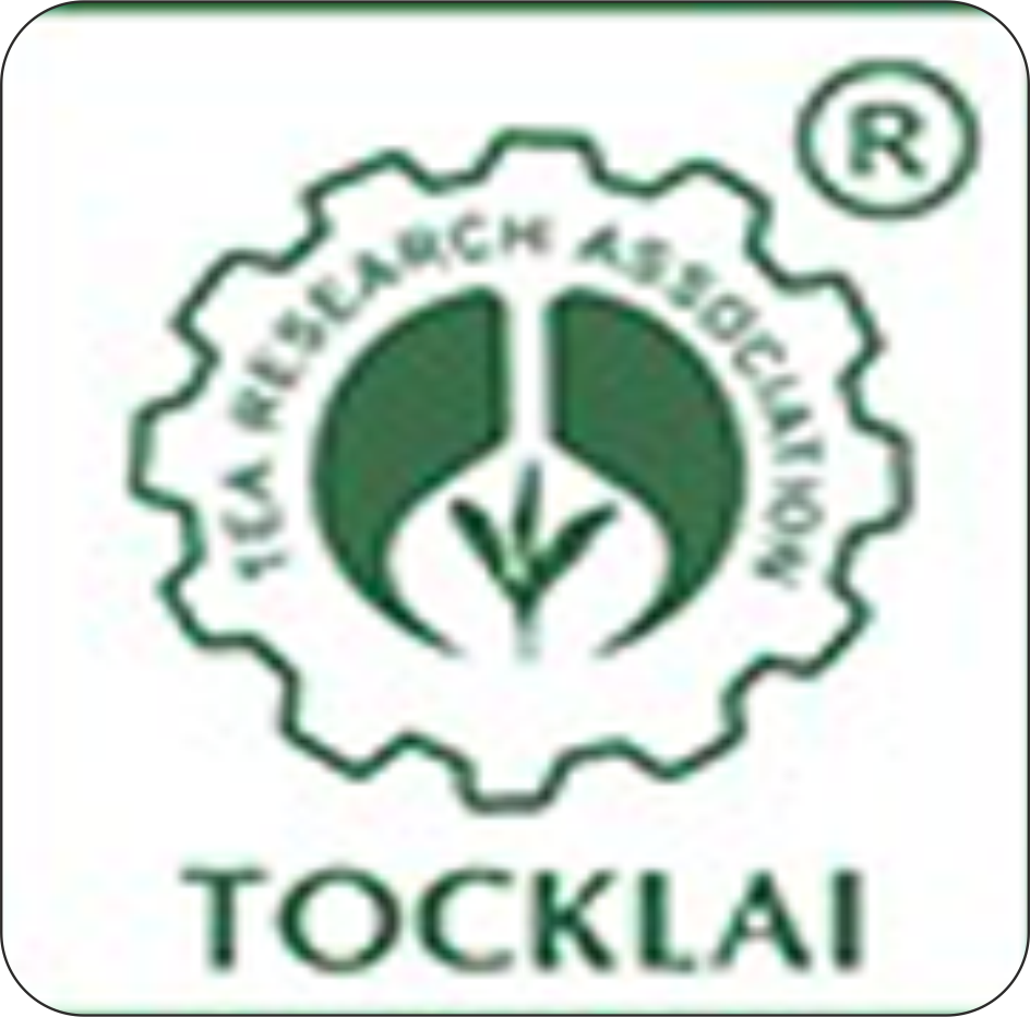 brand-image
